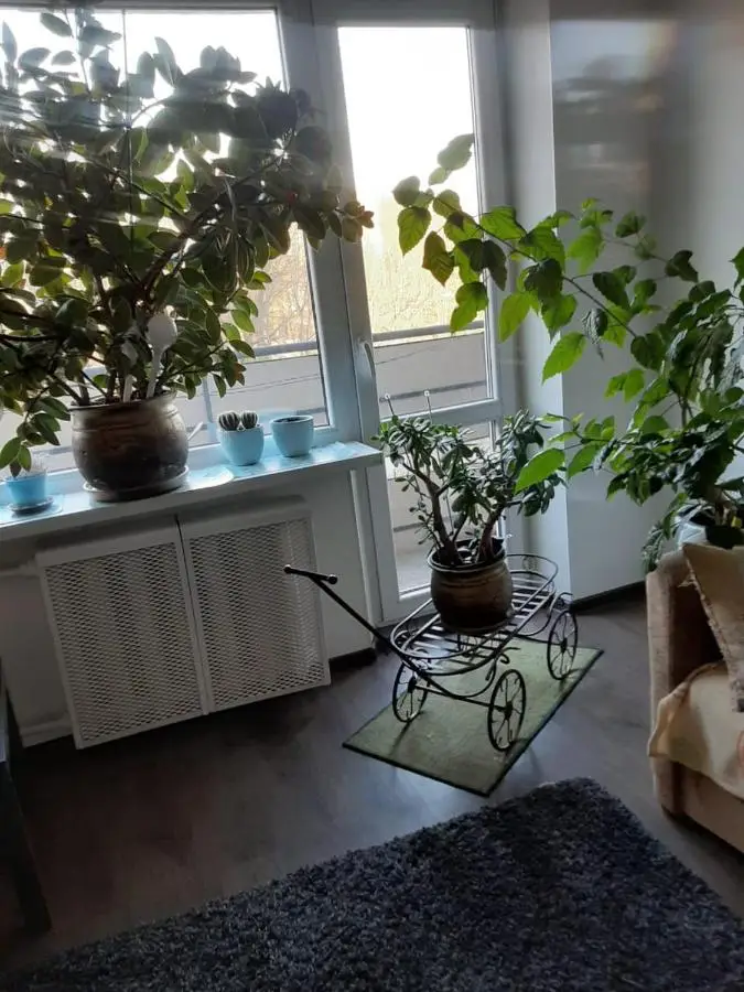 Калининград: Apartment on Pionerskaya 68