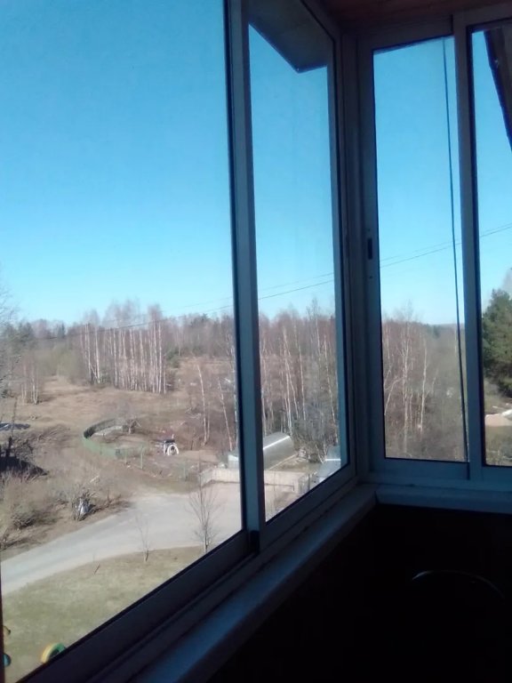 Пушкинские горы: Апартаменты Philisa Na Turbaze серая