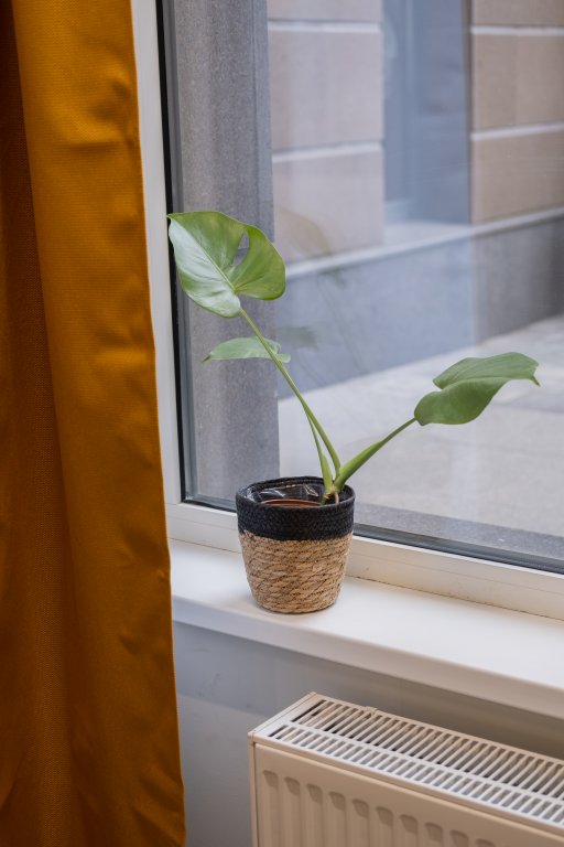 Санкт-Петербург: Квартира Daisy Loft