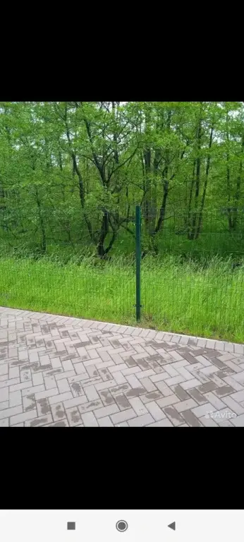 Зеленоградск: Квартира  У моря