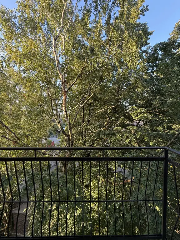 Пионерский: Квартира Уютная в городе курорте Нойкурен