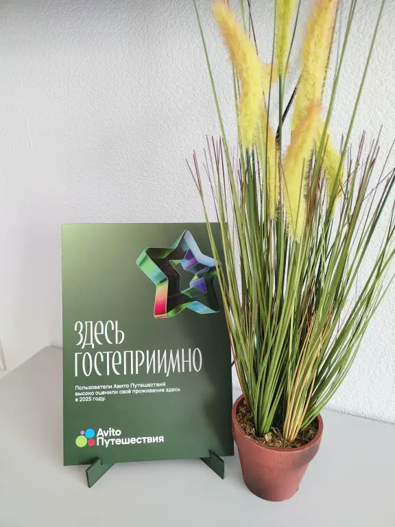 Омск: Квартира Просторная с умной колонкой