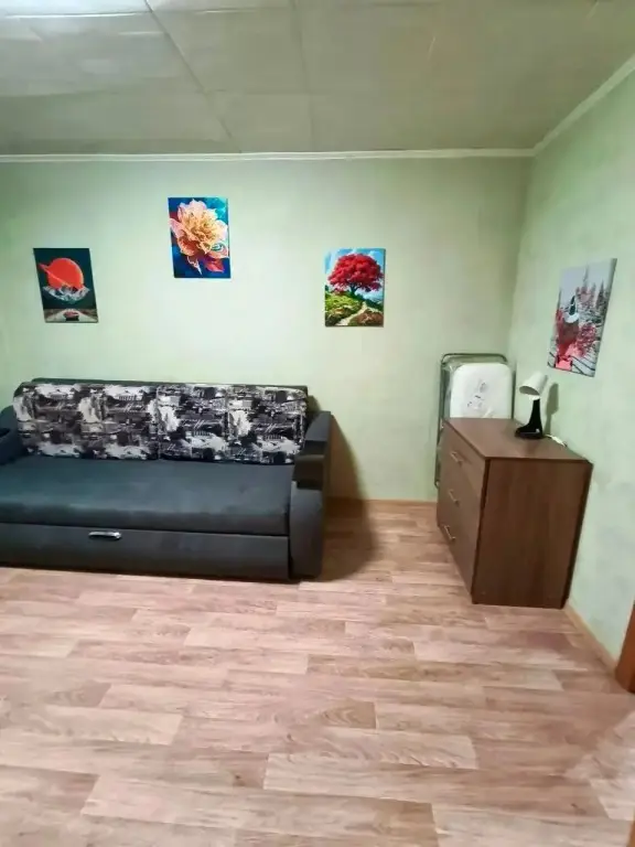 Самара: Квартира 1-комнатная 25 м² 2 кровати