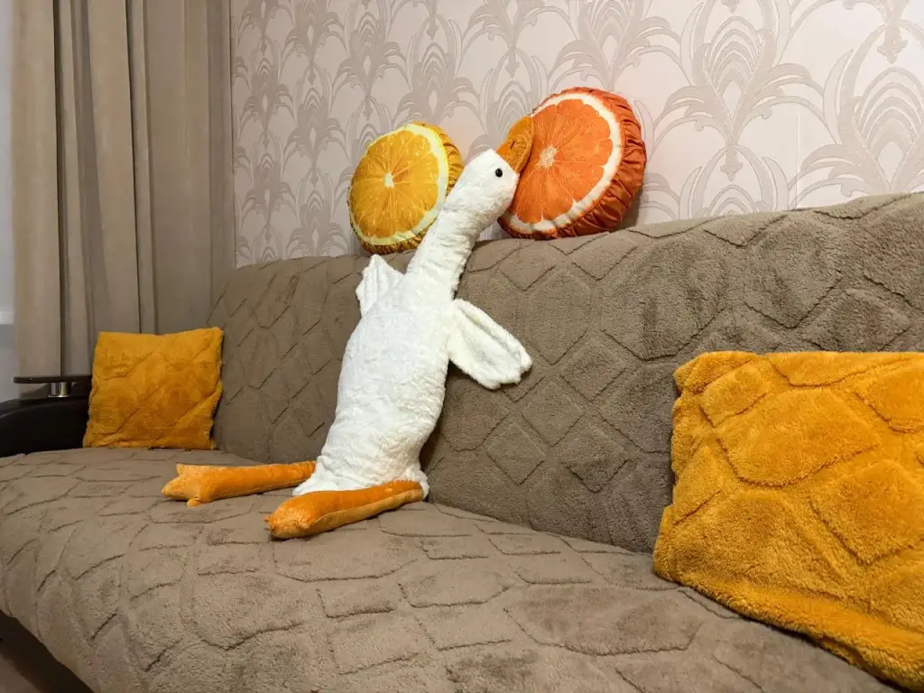 Нижний Новгород: Квартира Гусь в яблоках