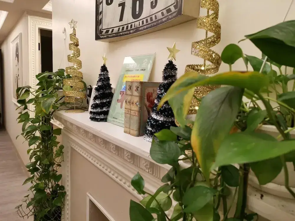 Стамбул: TW-Taipei Backpackers Hostel