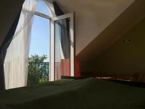 Батуми: David Guest House