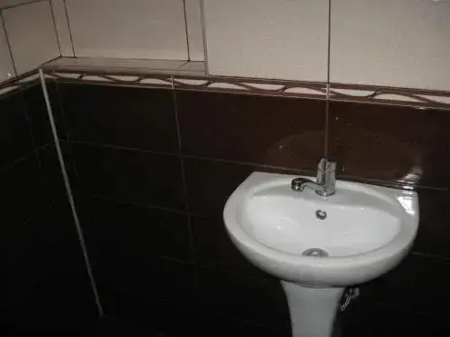 Батуми: Guest House Romashka