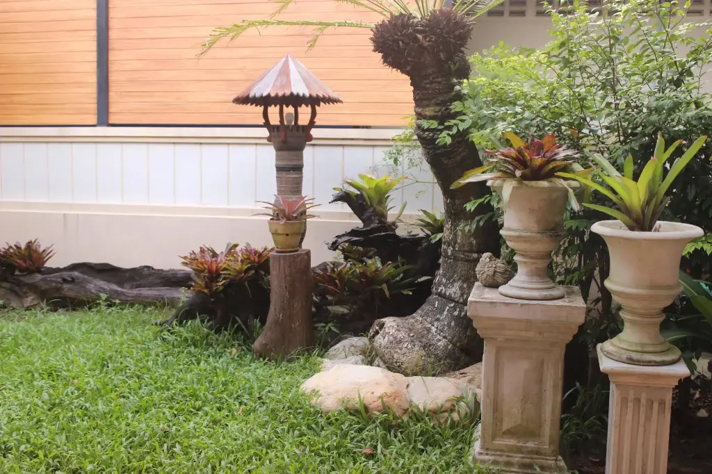 Tree Home Plus Home Stay — фото 1