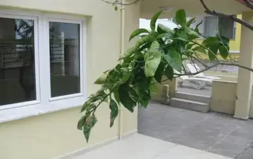 Кушадасы: Gaby Apartments Kusadasi