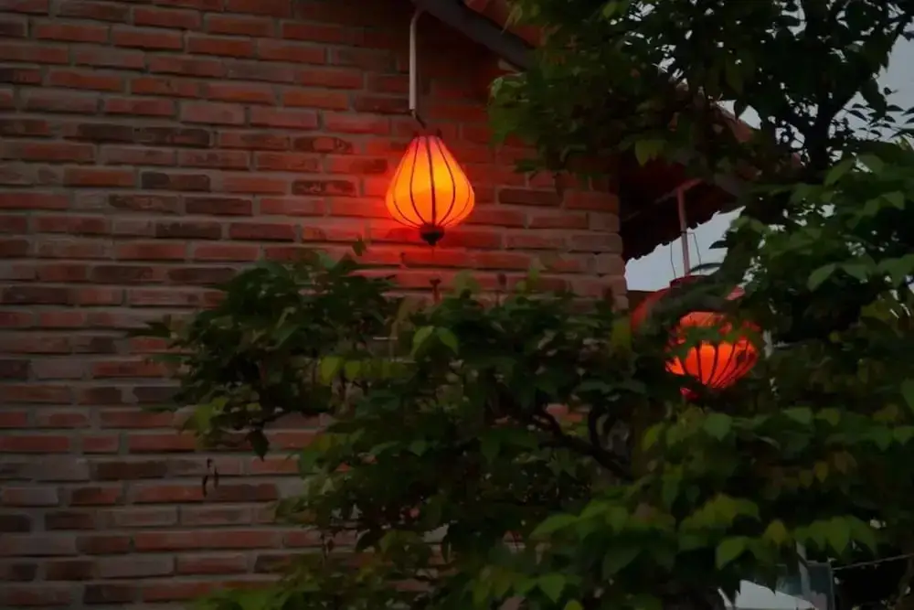 Хойан: The Grass Vy Homestay