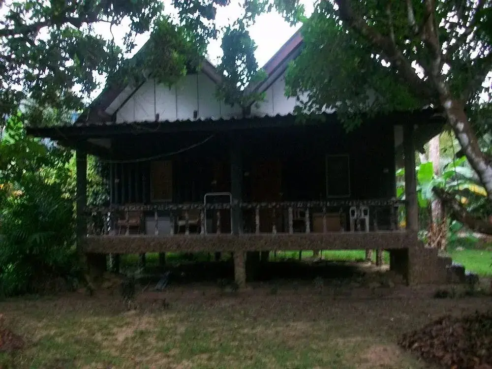 Фаном: Bamboo House