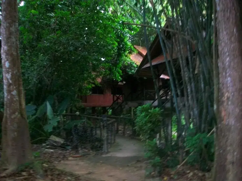 Фаном: Bamboo House