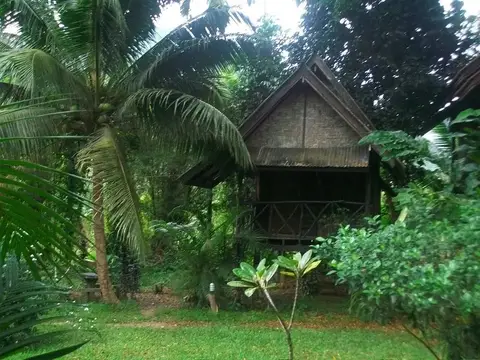 Bamboo House — фото 1