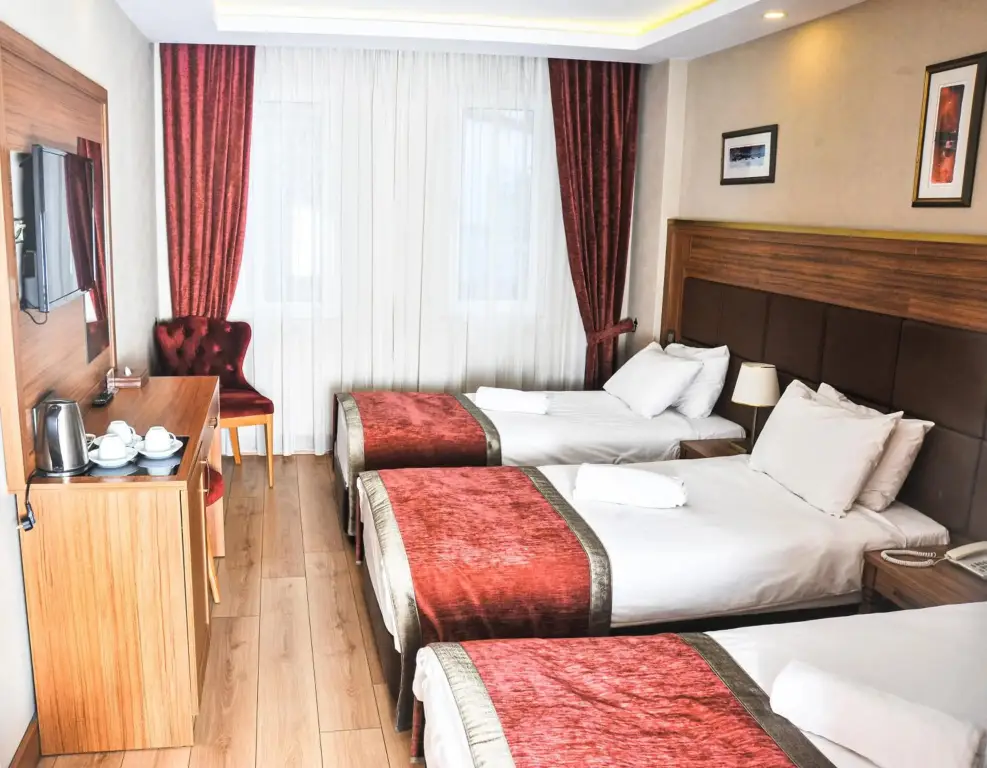 Стамбул: Hotel Erguvan