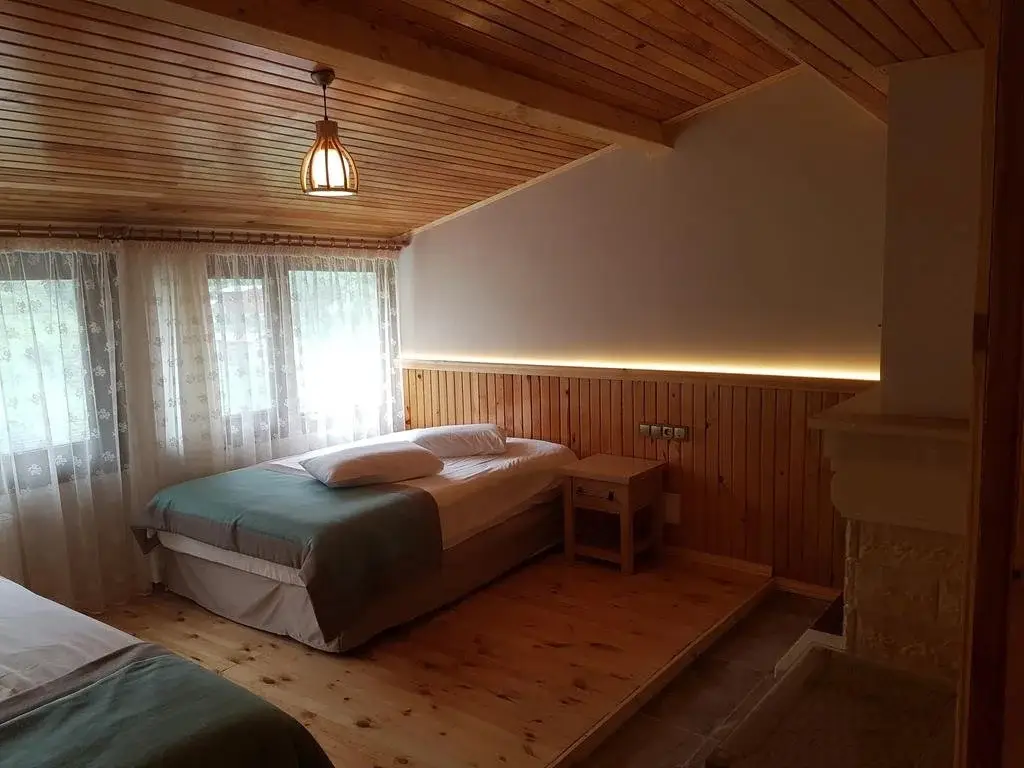 Чамлыхемшин: Sis Hotel Ayder