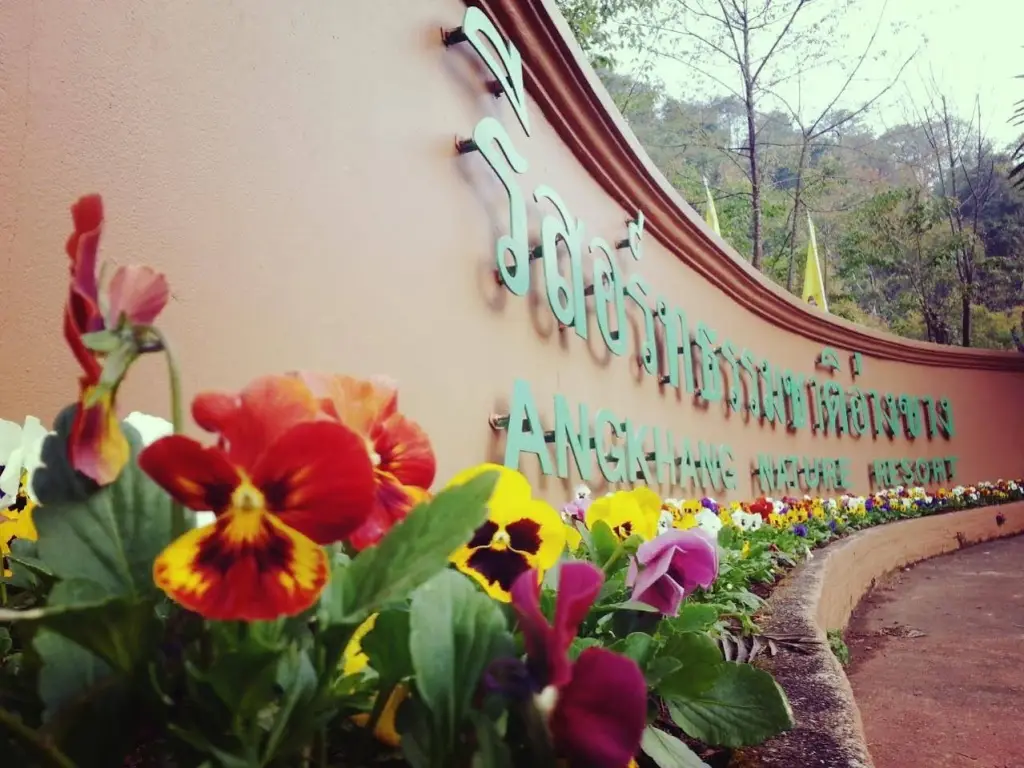 Фанг: Angkhang Nature Resort