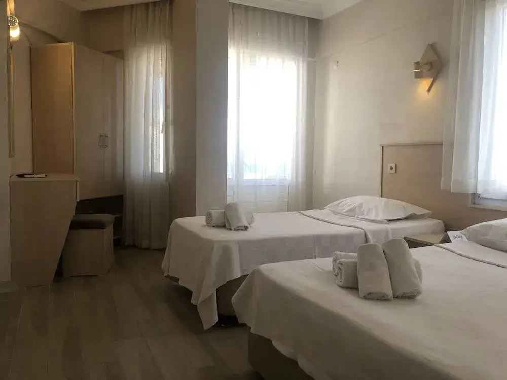 Айвалык: Ege Soley Hotel