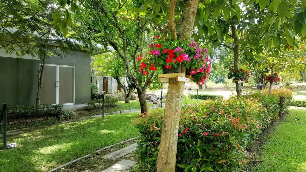 Ханг Донг: Baan Suan Him Doi