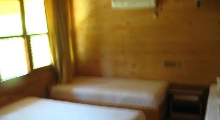 Чиралы: Rose Pension