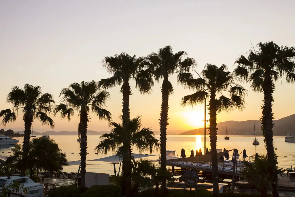 Торба: Отель Torbahan & Beach Club