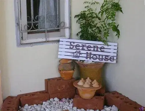 Сураттхани: Serene Guest House