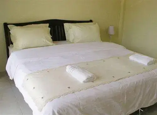 Serene Guest House — фото 1