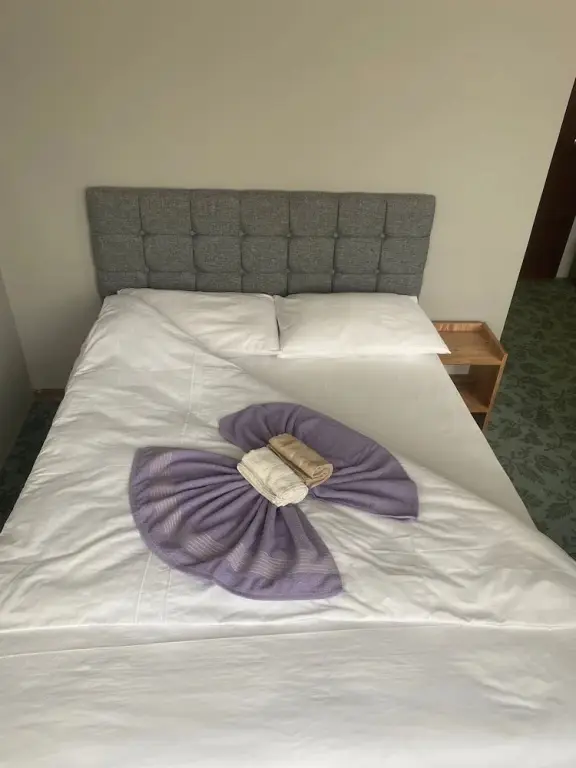 Самсун: Samsun Otel Vidinli