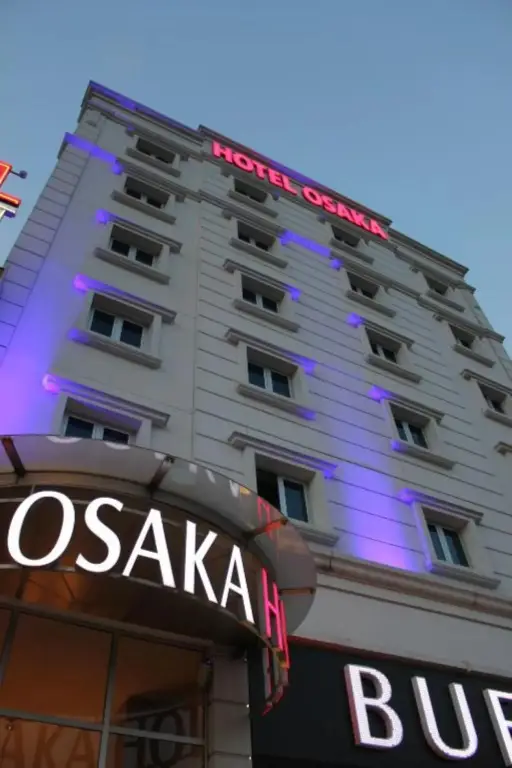Стамбул: Osaka Airport Hotel