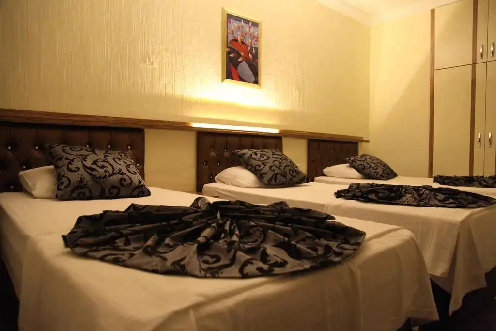 Анкара: Ankara Efes Otel