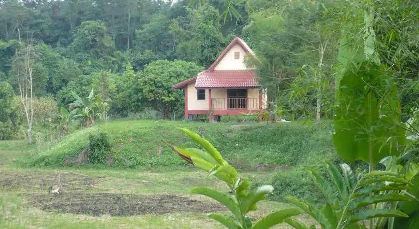 Mae Chan: Suancha Tea Garden