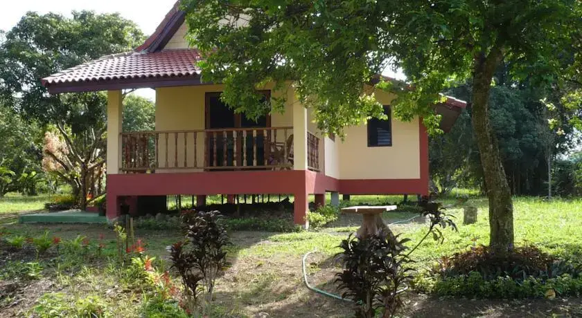 Mae Chan: Suancha Tea Garden