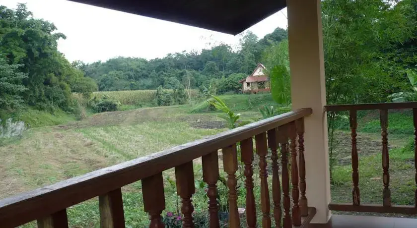 Mae Chan: Suancha Tea Garden