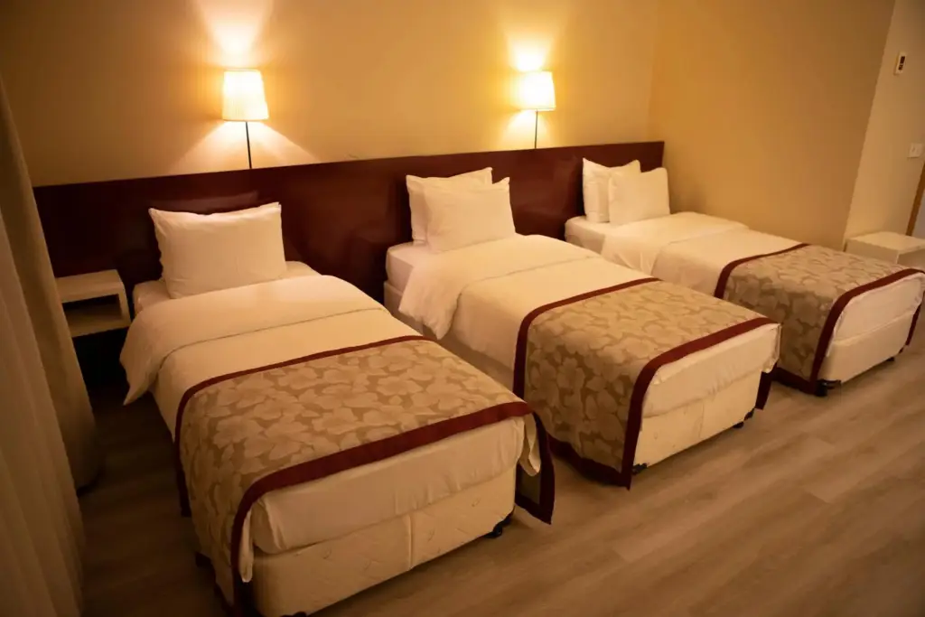 Эдирне: Trakya City Hotel