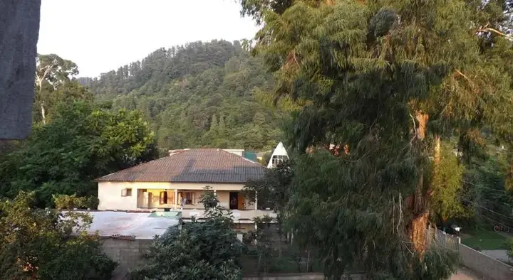 Батуми: Guest House Machaxela