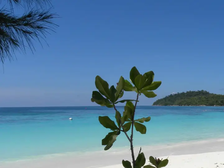 Ко-Липе: Blue Tribes Garden Beach Resort