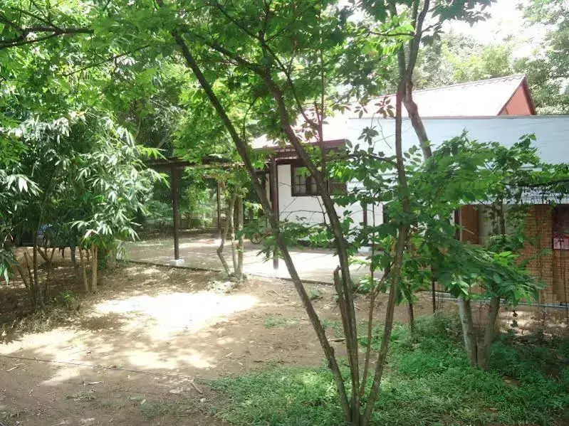Чиангмай: Home Stay Chiangmai Baan Chao Mhon