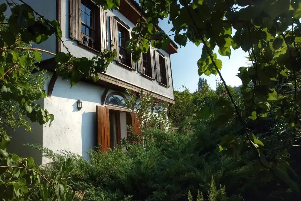 Terrace Houses Sirince - Fig, Olive and Grapevine — фото 1
