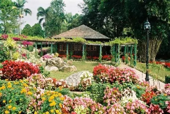 Ханг Донг: Krisdadoi Chiang Mai
