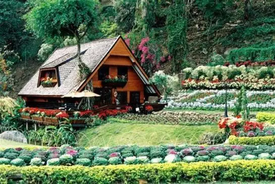 Ханг Донг: Krisdadoi Chiang Mai
