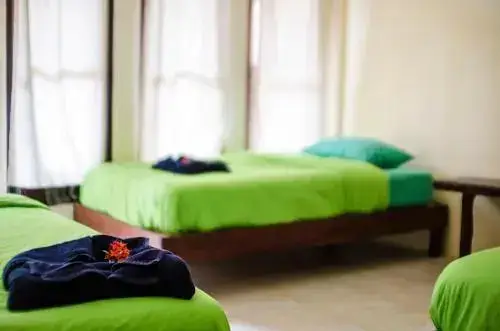 Фаном: Coco Khao Sok Hostel