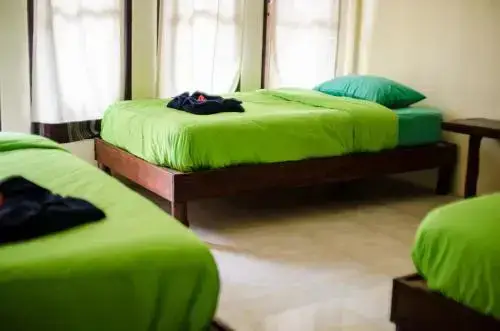 Фаном: Coco Khao Sok Hostel