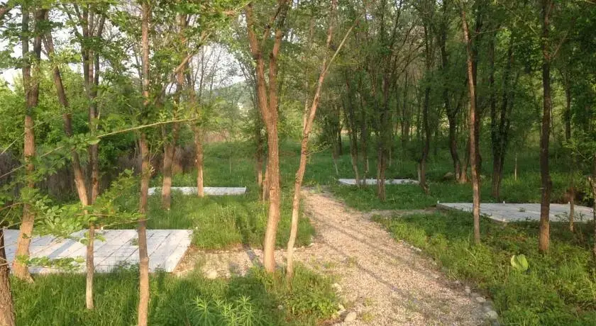 Кыргауылды: Turkic Park