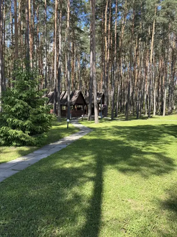 Ждановичи: Санаторий Пралеска
