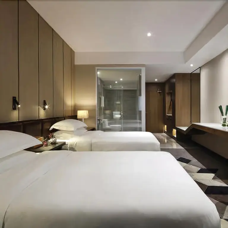 Iu Hotel Chongqing Longtou Temple North Railway Station — фото 1