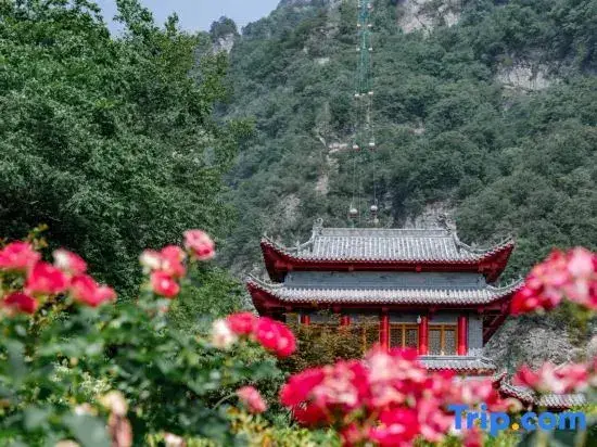 Шиянь: Wudang Taihe Hotel