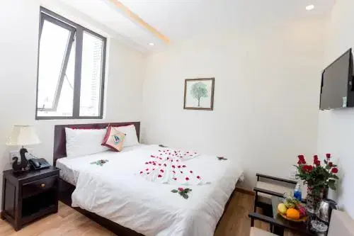 Дананг: Apple Hotel