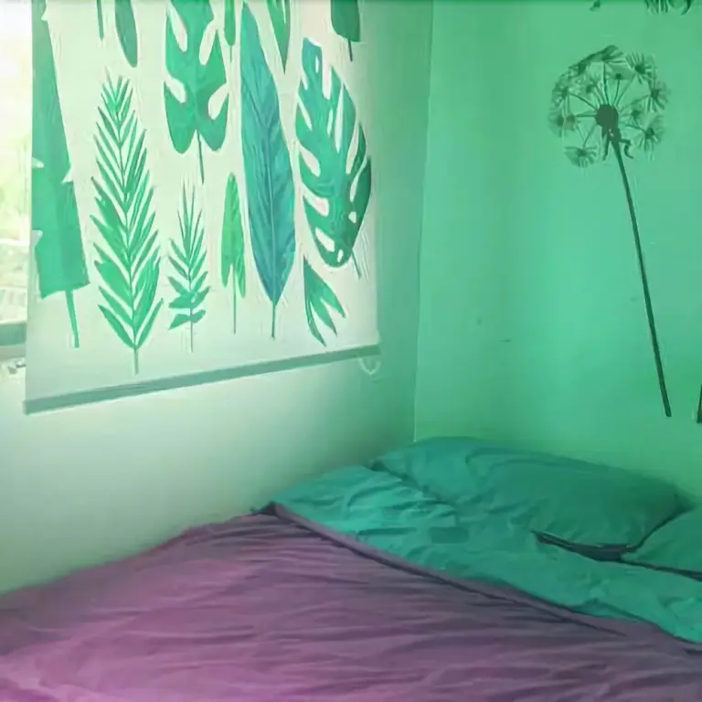 Сиань: Siluqin Youth Hotel