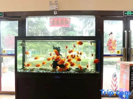 Нанкин: 7Days Inn Chain Hotel (Nanjing Museum Guanghua Gate Subway Station)