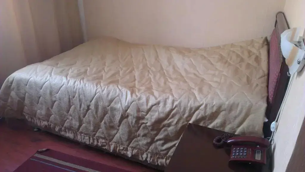 Алматы: Shagan Hotel