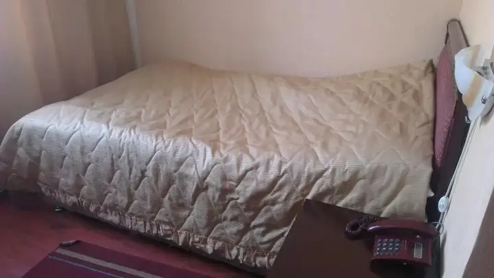 Алматы: Shagan Hotel